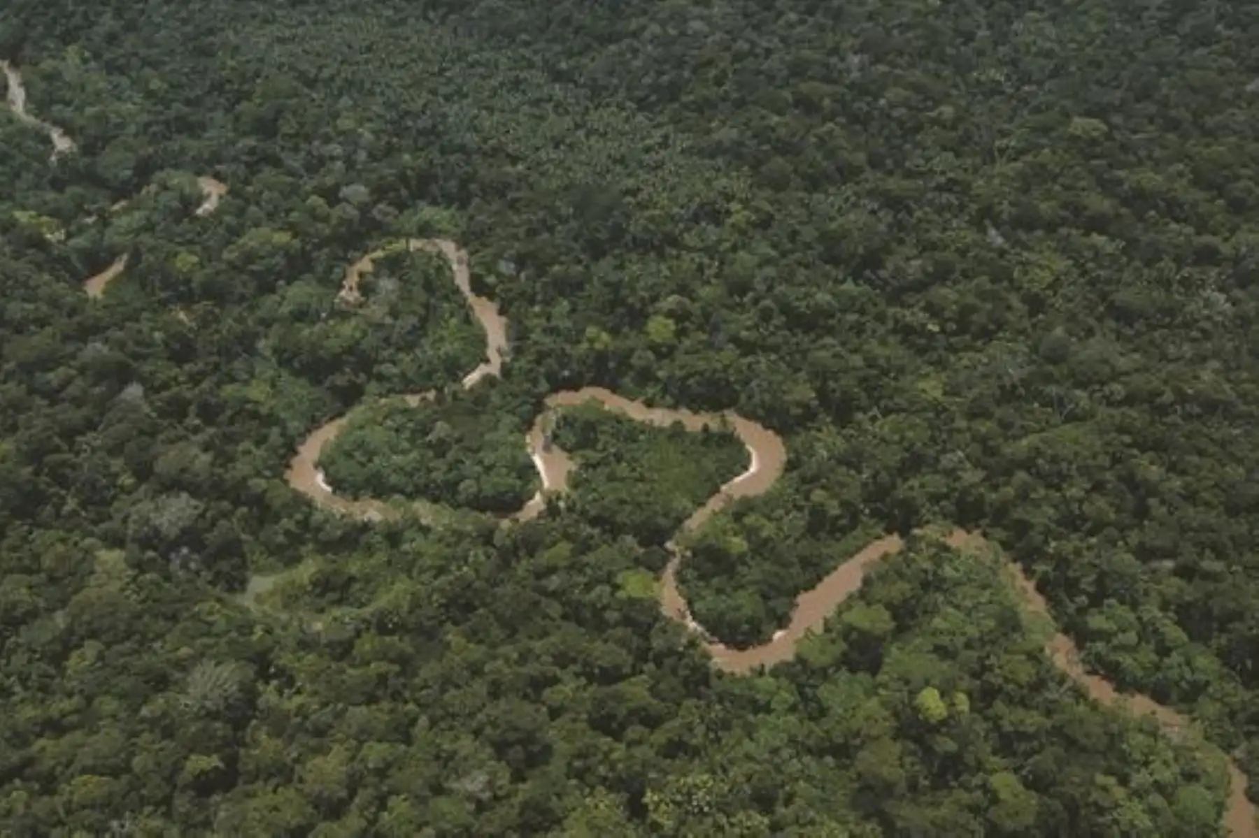 El objetivo de estos lineamientos es sentar las bases para la implementación de REDD+ y la gestión de sus unidades de reducción de emisiones en el Perú. Foto: ANDINA/Minam.