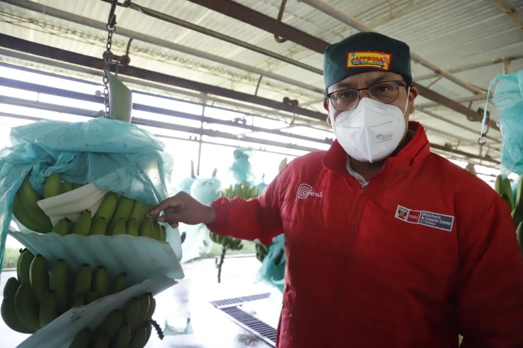 El ministro de Comercio Exterior y Turismo, Roberto Sanchez llegó hasta la ciudad de SSullana - Piura donde visitó las áreas de producción y empaque de la Asociación de Pequeños Productores de Banano Orgánico Samán y Anexos. Foto: Mincetur