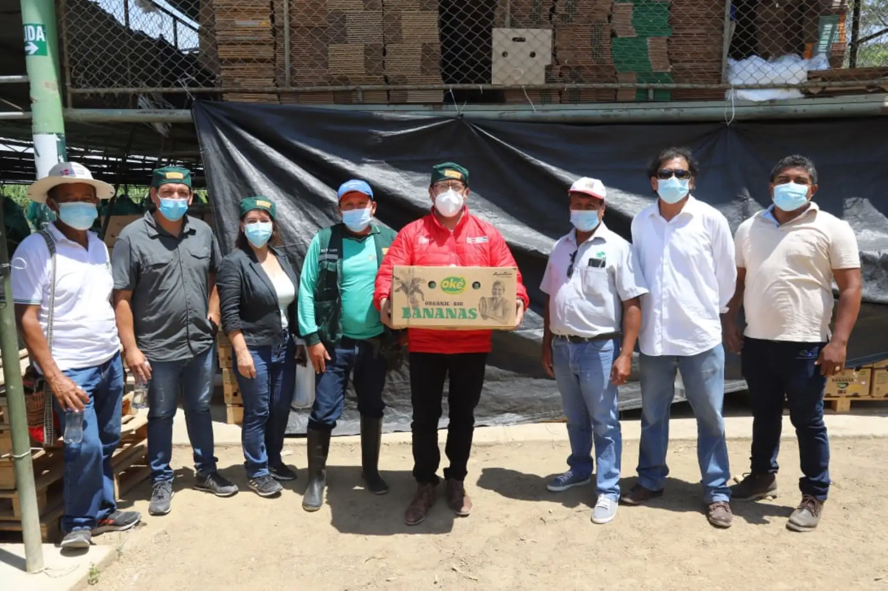 El ministro de Comercio Exterior y Turismo, Roberto Sanchez llegó hasta la ciudad de SSullana - Piura donde visitó las áreas de producción y empaque de la Asociación de Pequeños Productores de Banano Orgánico Samán y Anexos. Foto: Mincetur