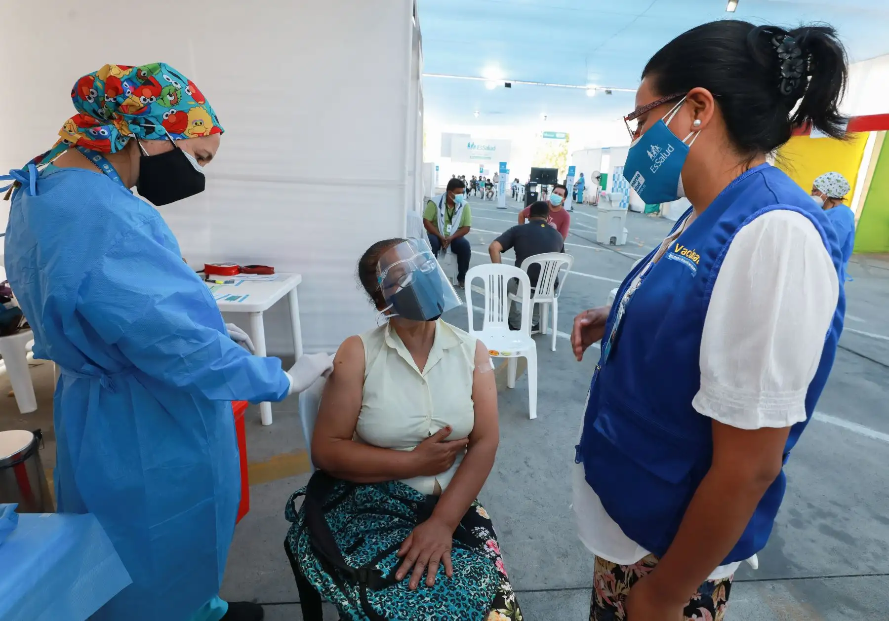 En el primer día de inicio del proceso de inmunización, el Seguro Social de Salud (EsSalud) vacunó contra la influenza a más de 3 mil personas adultas que acudieron a los vacunatorios de Lima y el Callao para recibir la dosis del antígeno que los protege de la contagiosa enfermedad. Foto: EsSalud