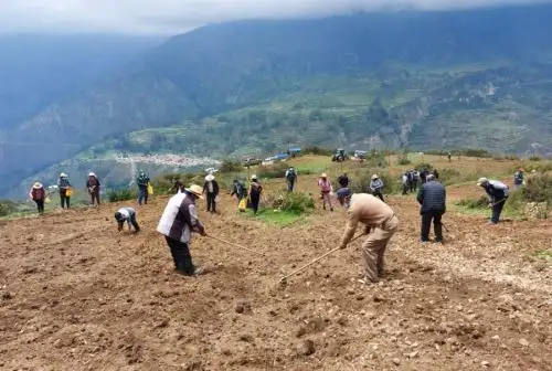 Foto: ANDINA/difusión.