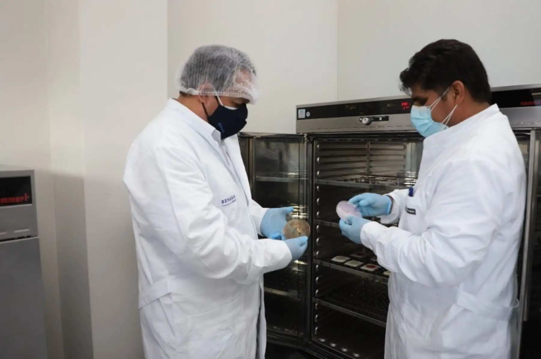 El Servicio Nacional de Sanidad Agraria intensificó su capacidad de análisis microbiológico al potenciar su laboratorio de microbiología de alimentos, acción que beneficiará en el corto y mediano plazo a la inocuidad y producción agroalimentaria de consumo local, así como para el comercio internacional.