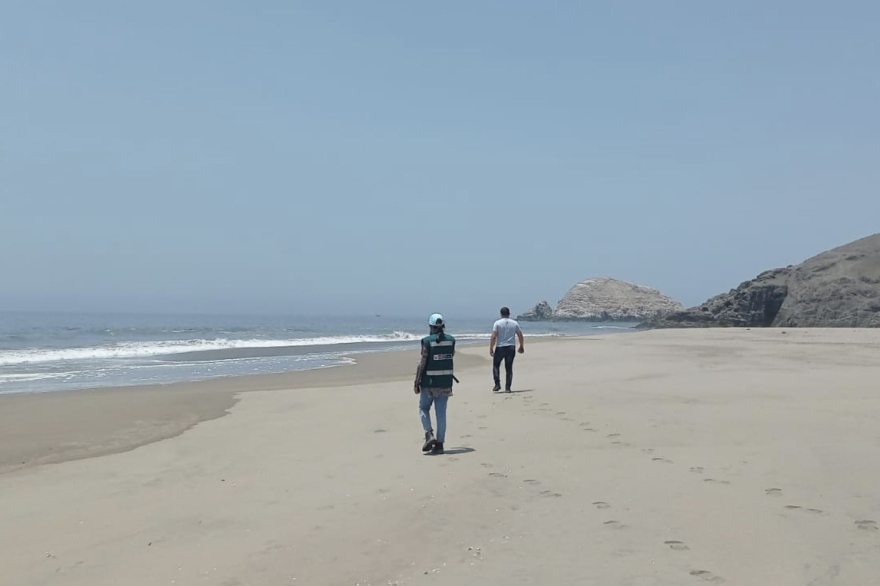 El equipo de ATFFS Lima, junto con el Senanp y la Municipalidad de Ancón, continúa con las labores de búsqueda y rescate de fauna silvestre afectada por el derrame de petróleo en el mar de ventanilla. Foto: Serfor