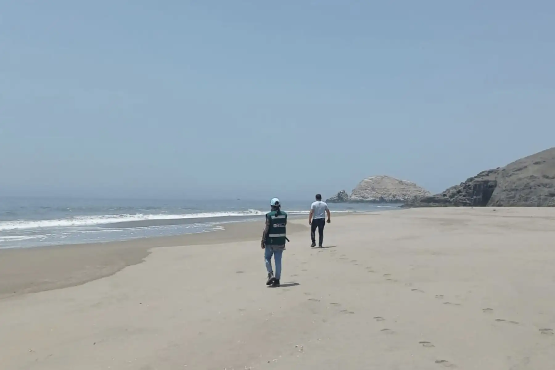 El equipo de ATFFS Lima, junto con el Senanp y la Municipalidad de Ancón, continúa con las labores de búsqueda y rescate de fauna silvestre afectada por el derrame de petróleo en el mar de ventanilla. Foto: Serfor