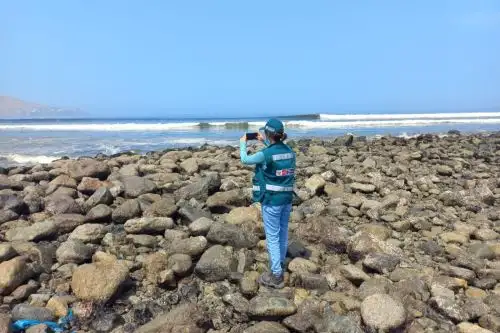 Foto: ANDINA/Difusión