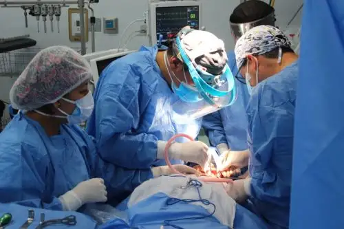 EsSalud extirpa tumor y reconstruye mandíbula a madre de 53 años. Foto: ANDINA/Difusión.