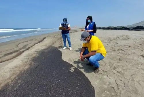 La municipalidad distrital de Chancay, en un trabajo articulado con la Capitanía del Puerto de Chancay y empresas privadas que operan en su litoral, coordinan acciones para contener la expansión del petróleo que se inició en Refinería La Pampilla y que se ha extendido a las playas de esa localidad de la provincia de Huaral.
