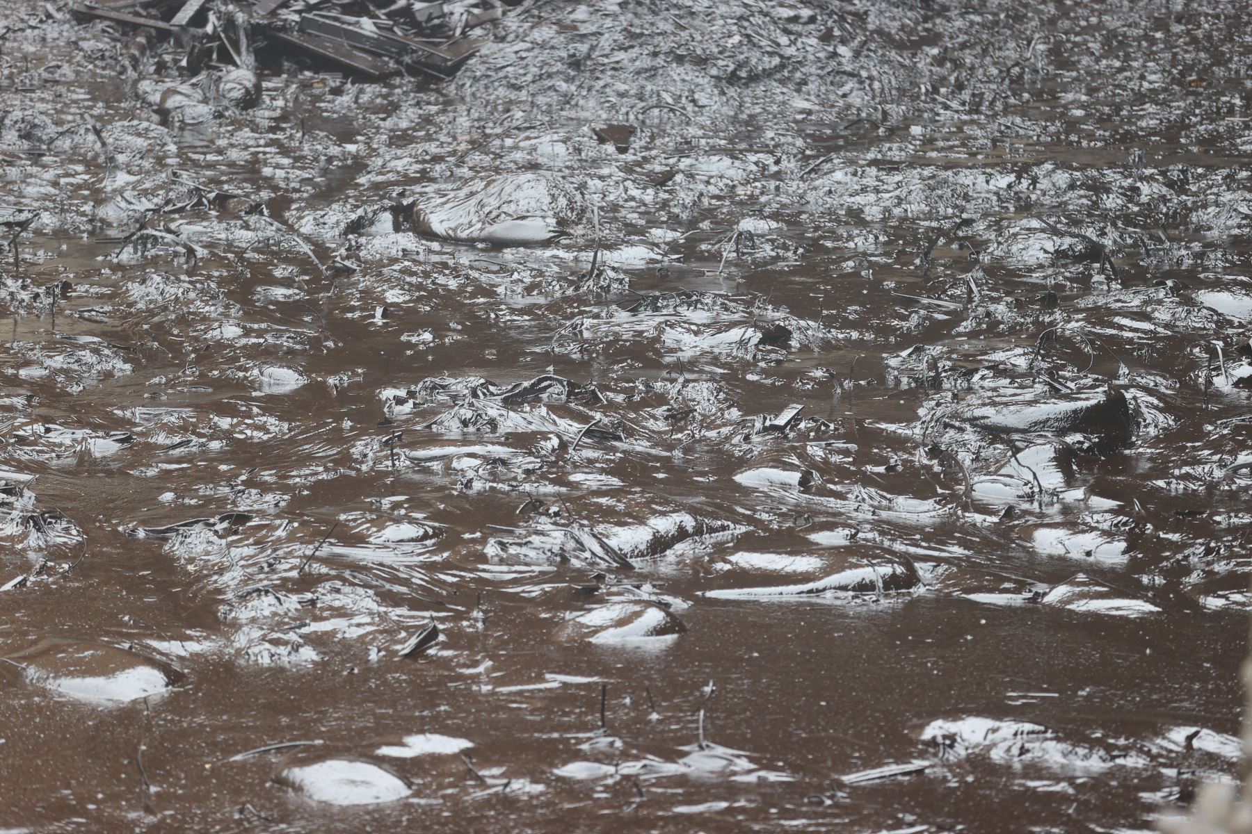 Continúan los trabajos de limpieza en la playa Cavero ubicada en Ventanilla. Este lugar es uno de los más afectados por el derrame de petróleo ocasionado por la empresa Repsol y que causó un gran impacto ambiental. Foto: ANDINA/Vidal Tarqui