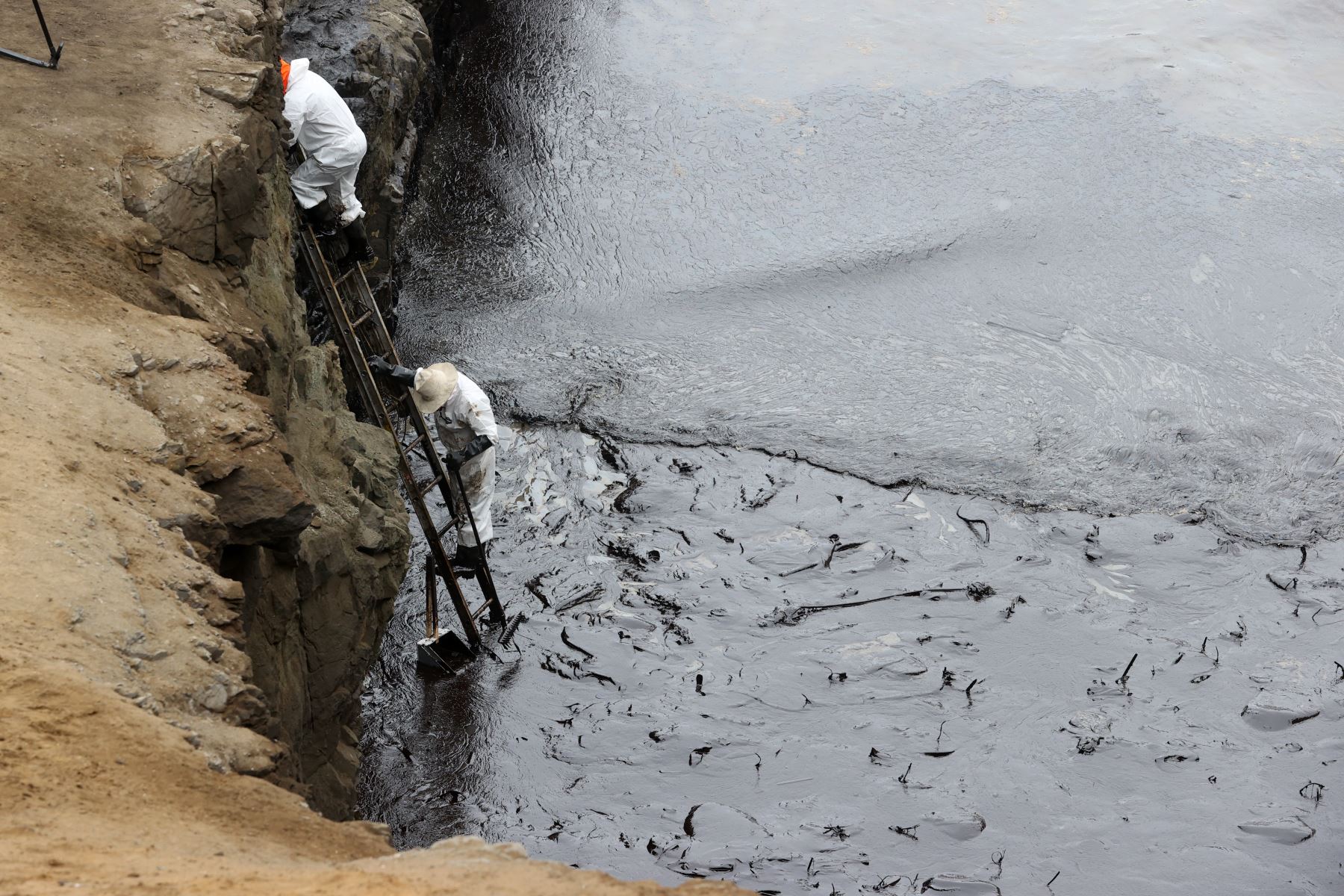 Trabajadores de remediación ambiental usan diversas herramientas para acceder a los lugares afectados por el derrame de 6,000 barriles de petróleo que descargaba un buque de bandera italiana para la refinería La Pampilla, de Repsol. Foto: ANDINA/Vidal Tarqui