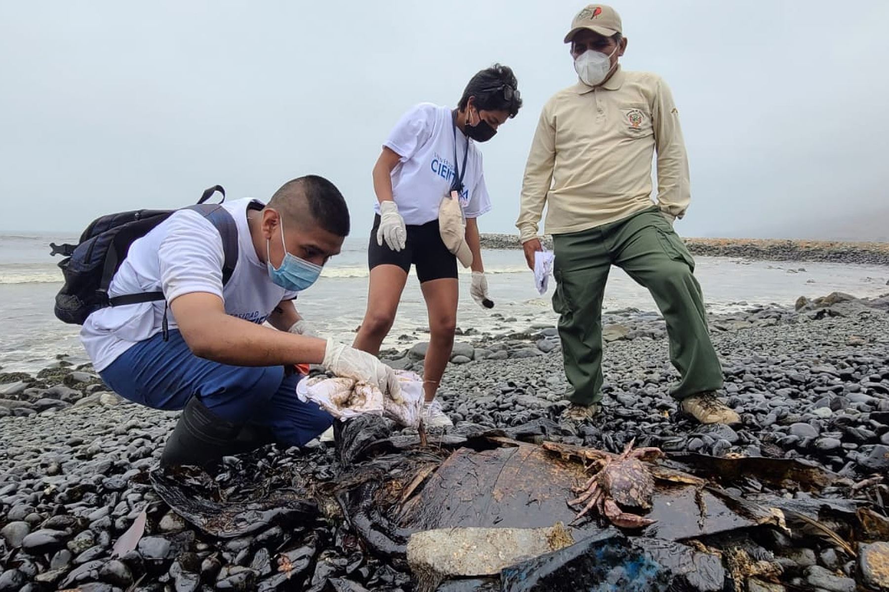Las personas no deben exponerse a las playas contaminadas por el derrame de petróleo. Foto: ANDINA/Difusión.