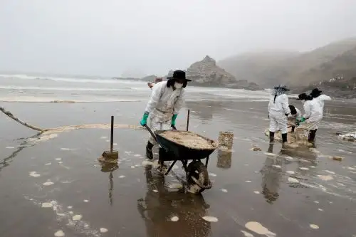 Foto: ANDINA/Vidal Tarqui.