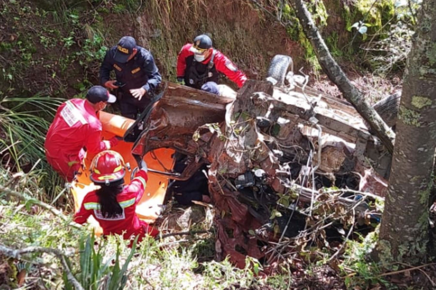 El accidente de tránsito se registró en la carretera Paucartambo-Cusco, a la altura del centro poblado de Huasac, Foto: ANDINA/Difusión