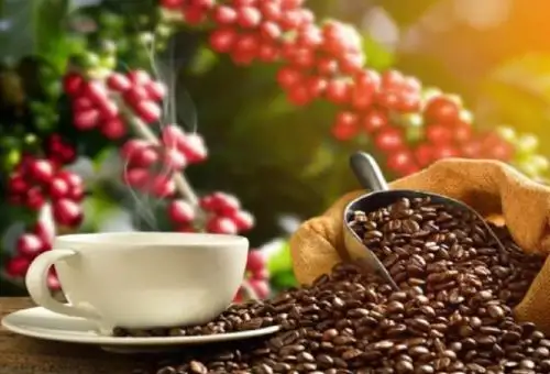 El café es uno de los productos agrícolas con gran demanda en los mercados internacionales. ANDINA/Difusión