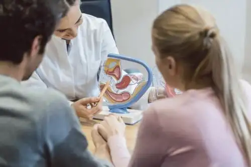 ¿Es cierto que las vacunas causan infertilidad en las mujeres? Profesionales de la salud de diversas especialidades se pronuncian en esta nota sobre esta versión de grupos antivacunas. Foto: ANDINA/Difusión