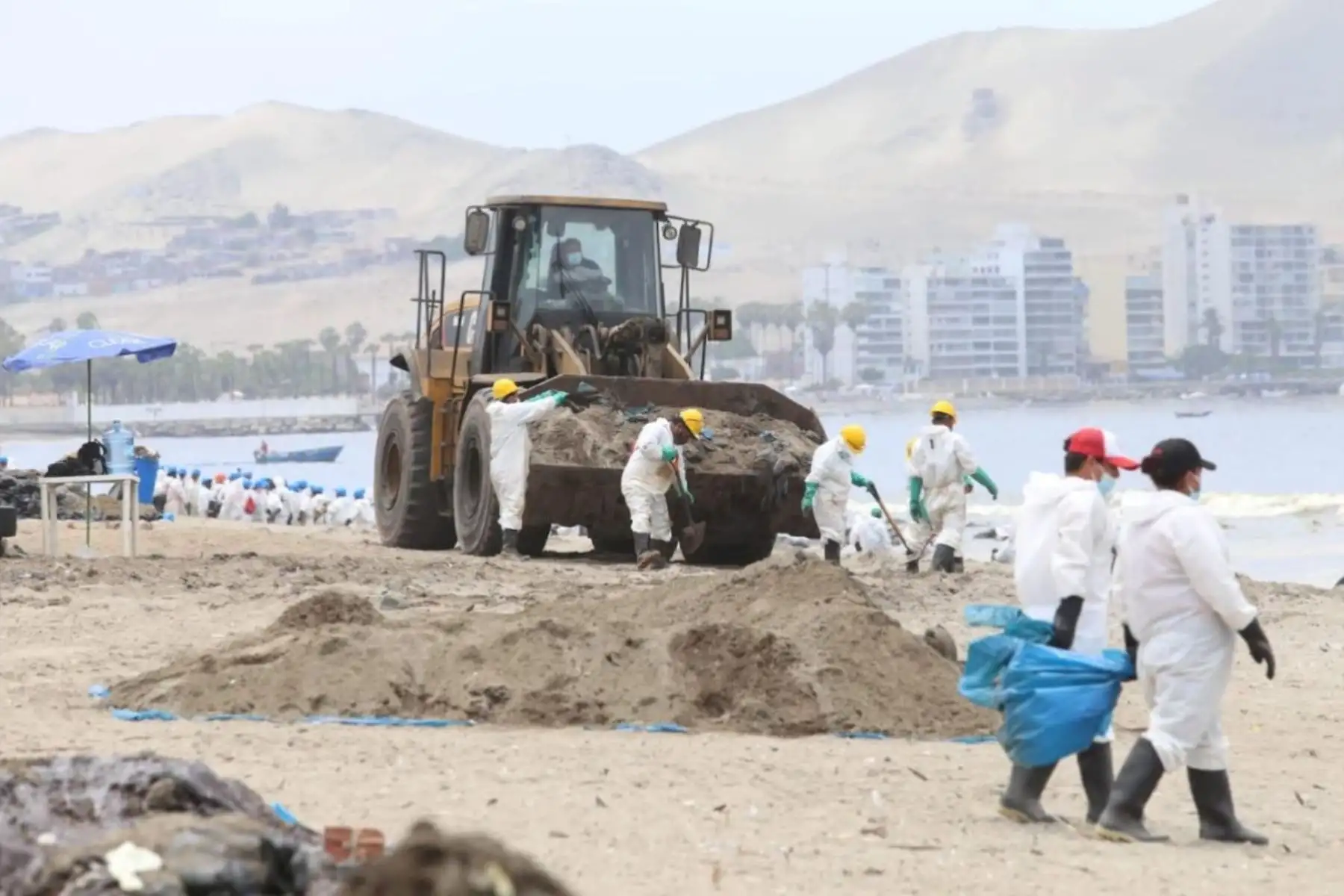 Derrame de petróleo: especialistas internacionales se suman a rescate de fauna marina. Foto: ANDINA/Difusión.