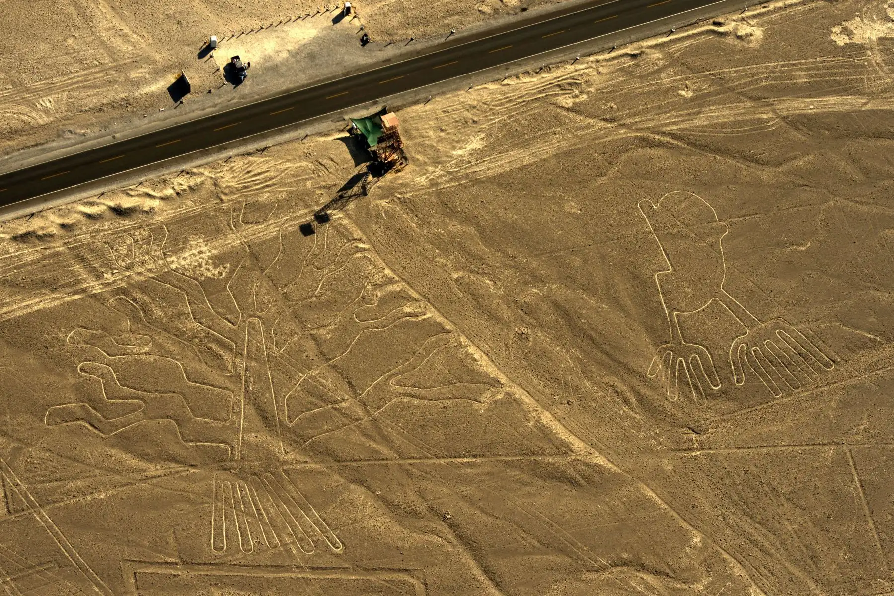 Vista aérea de los geoglifos que representan un árbol de guarango y manos en las Líneas de Nazca, a unos 435 km al sur de Lima, Perú. Los geoglifos fueron reconocidos el 17 de diciembre de 1994 como Patrimonio Histórico y Cultural de la Humanidad en la 18° Sesión del Comité del Patrimonio Mundial de la Unesco. Las Líneas de Nasca constituyen uno de los mayores enigmas de la arqueología peruana y global por su significado, dimensiones, variedad, número y existencia de más de 2,000 años. Foto: AFP