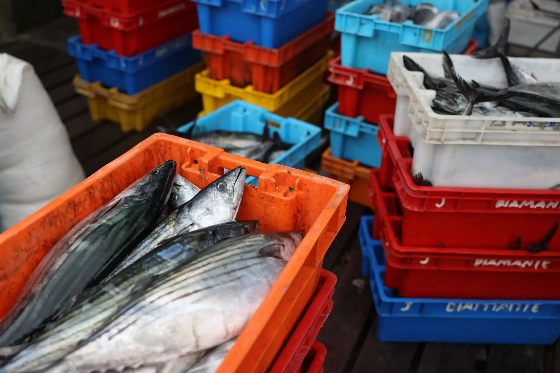 Los pescadores artesanales de Ancón, perjudicados por el derrame de petróleo de Repsol, solo comercializan 