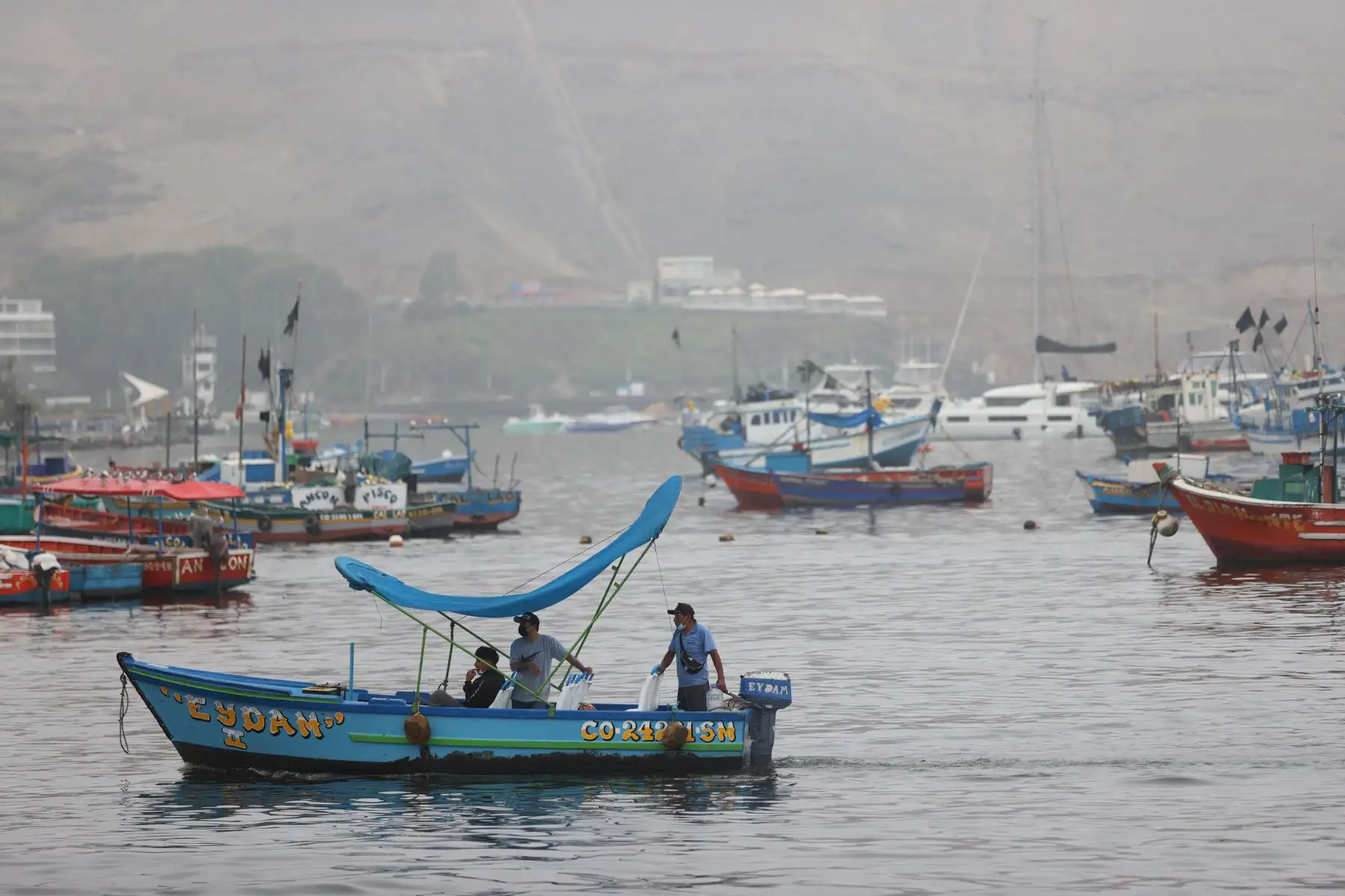 Los pescadores piden apoyo de las autoridades para que aceleren la limpieza de las playas afectadas. Foto: ANDINA/Jhonel Rodríguez Robles