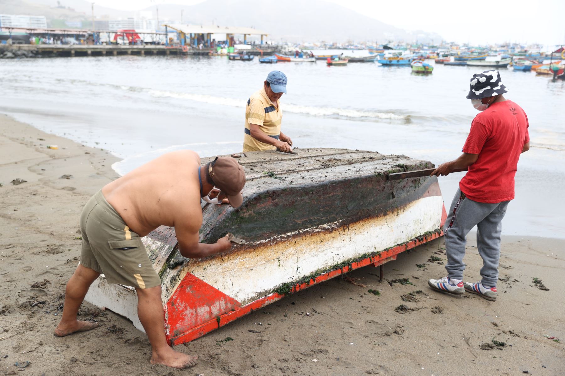 Fondepes anunció que otorgará créditos para los pescadores artesanales de Ilo. ANDINA/Jhonel Rodríguez Robles