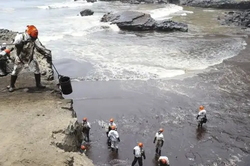 A la tarea de mitigación y limpieza del mar de Ventanilla se sumaron varias universidades, como la Universidad Nacional José Faustino Sánchez Carrión de Huacho; la Universidad Científica del Sur (Ucsur) y la Universidad Nacional de Trujillo. ANDINA/Jhonel Rodríguez Robles