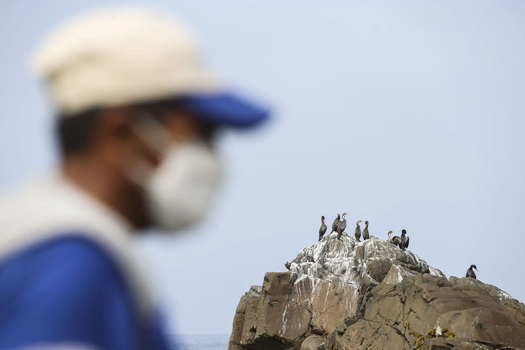 Jesús Fernández y es pescador hace 30 años en el mar de Chancay y se ha visto perjudicado por el desastre ecológico ocurrido en el mar de Ventanilla. Menciona que las especies que el recolecta como cangrejos, muy muy, chita o lorna están muy cerca a la orilla donde se encuentra la espuma y el petróleo, eso ha generado desconfianza en la gente que prefieren ya no comprar esas especies por miedo a intoxicarse. Foto: ANDINA/Jhonel Rodríguez