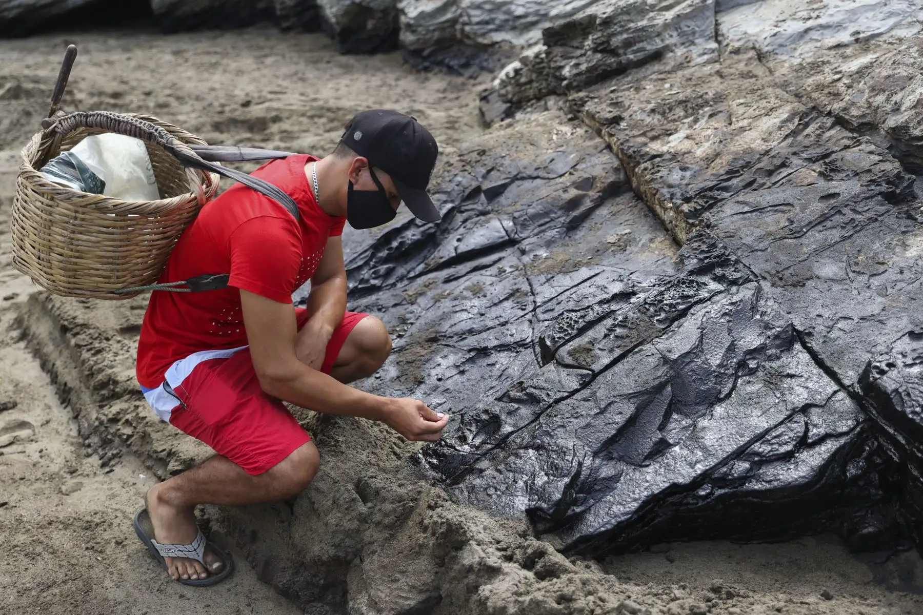 Pescadores artesanales de la playa Chacra y Mar en Chancay han sido perjudicados por el derrame de petróleo ocurrido el 15 de enero en Ventanilla. Ellos se dedicaban a la pesca y recolección de especies como Chita, lorna, cangrejos y muy muy. Se conoce que más de 1,500 pescadores artesanales y sus familias serían los primeros afectados directamente por el desastre ecológico ocurrido en el mar de Ventanilla. Foto: ANDINA/Jhonel Rodríguez