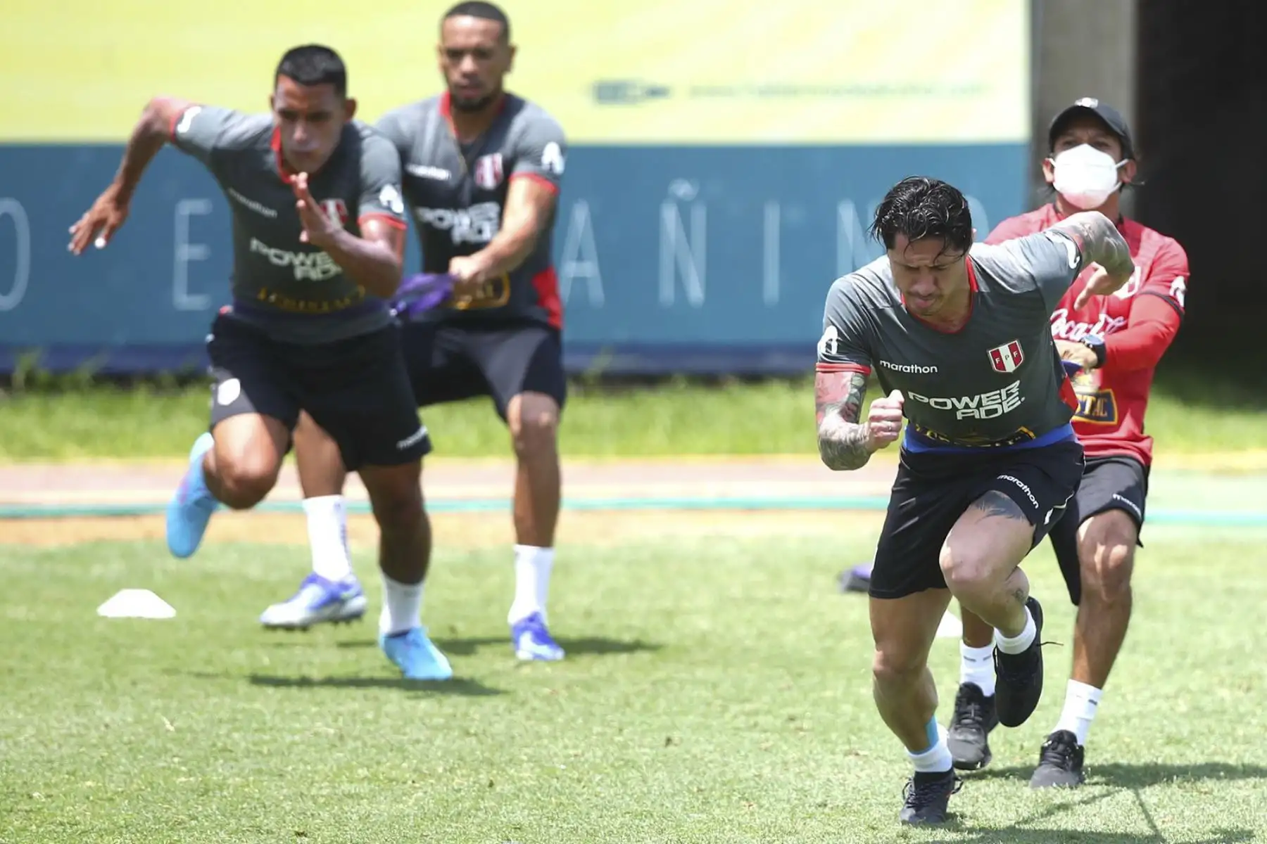 La Selección Peruana trabajó por primera vez con el grupo completo de 30 futbolistas tras las incorporaciones de Gianluca Lapadula, Luis Abram y Gabriel Costa.
Foto: ANDINA/FPF