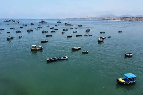 Pescadores artesanales. ANDINA/Jhonel Rodríguez Robles