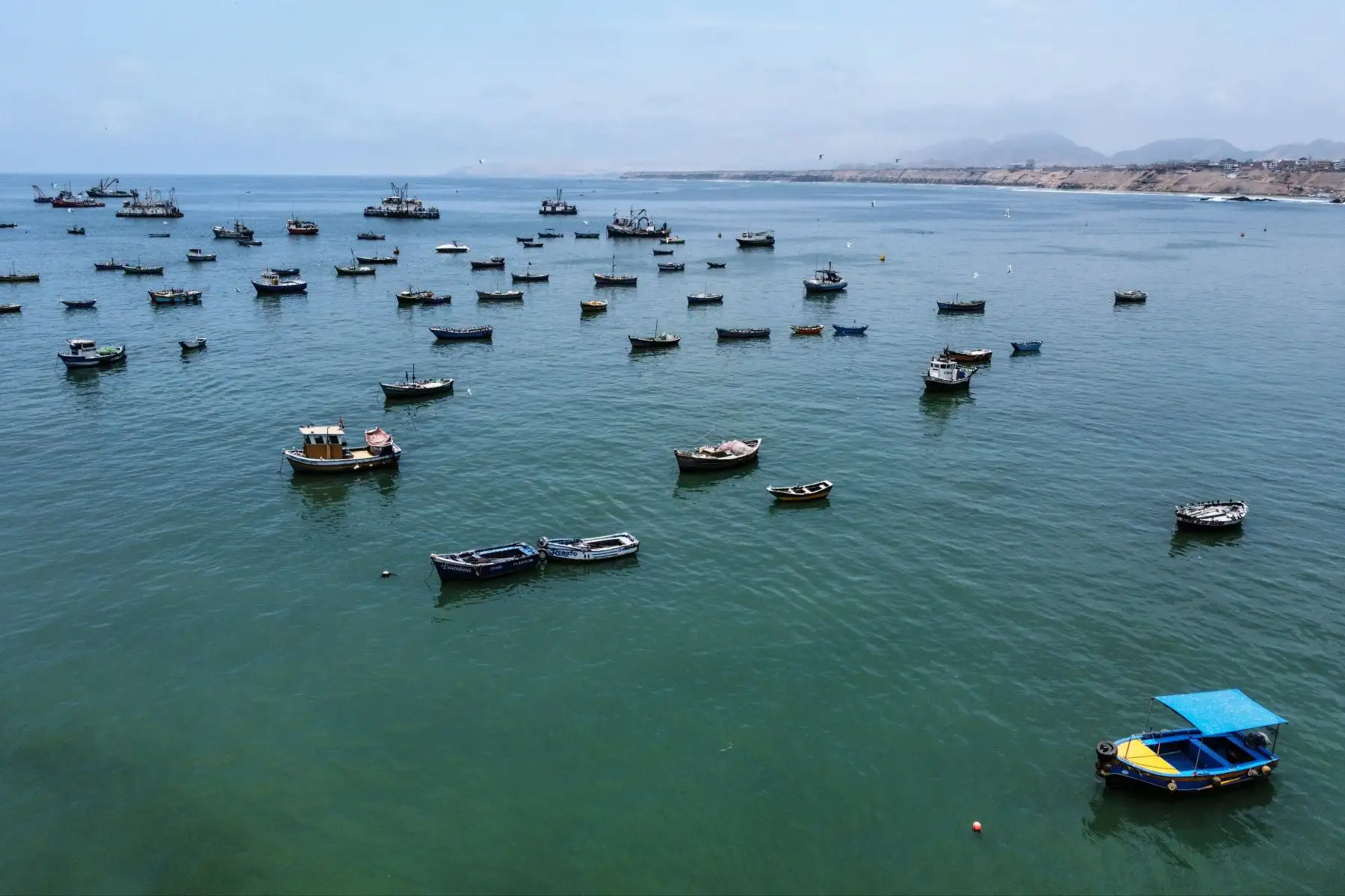 Pescadores artesanales. ANDINA/Jhonel Rodríguez Robles