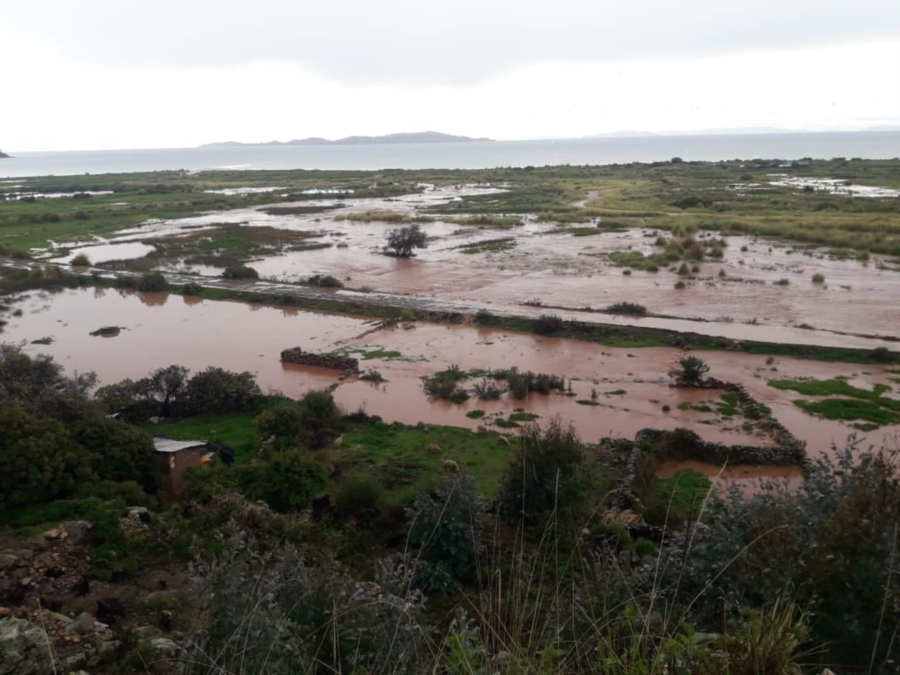 Lluvias intensas dejan 52 pobladores afectados, tres viviendas inhabitables y 24 afectadas en tres distritos de la región Puno. ANDINA/Difusión