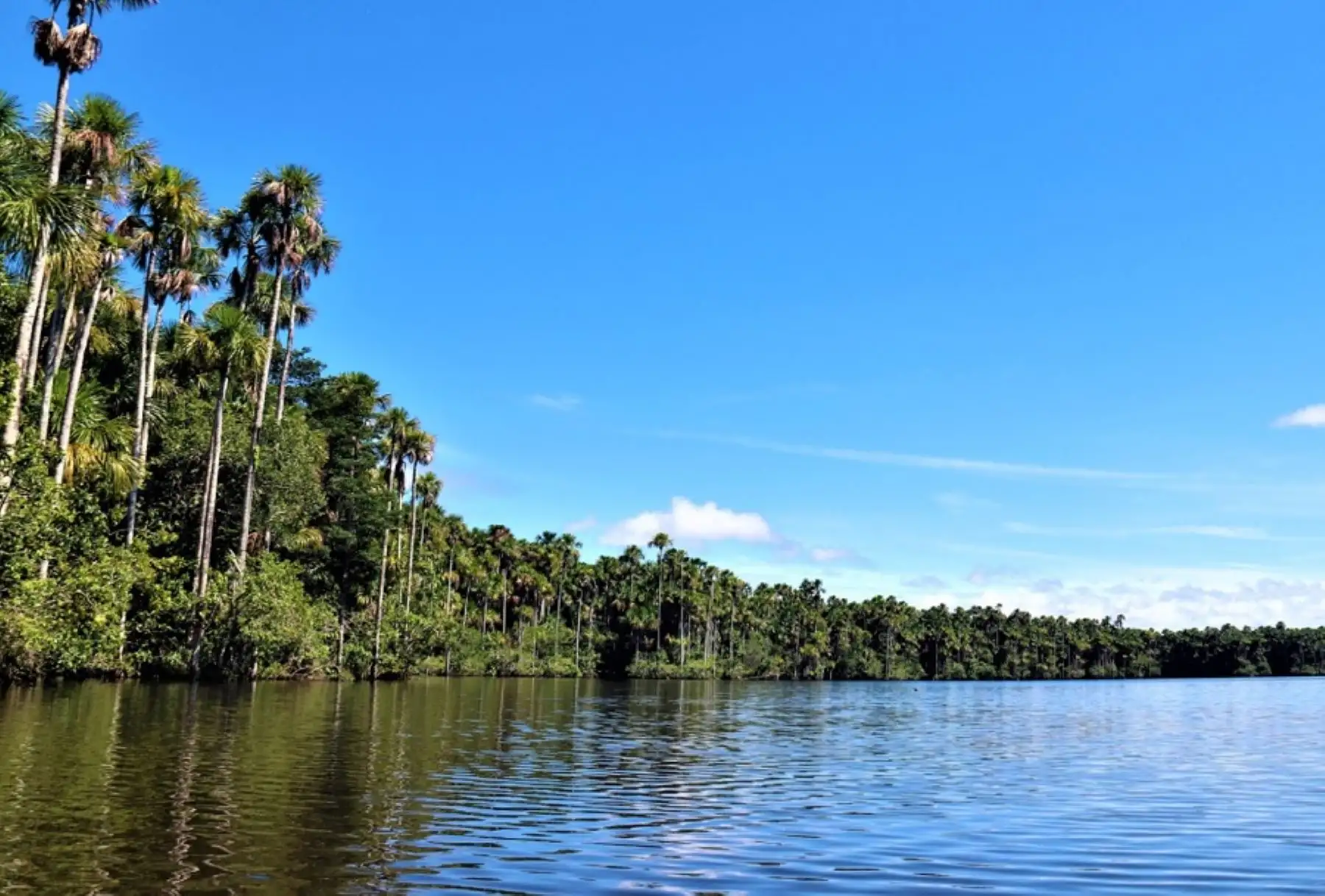 Madre de Dios: declaran de interés y necesidad pública intangibilidad de fuentes de agua