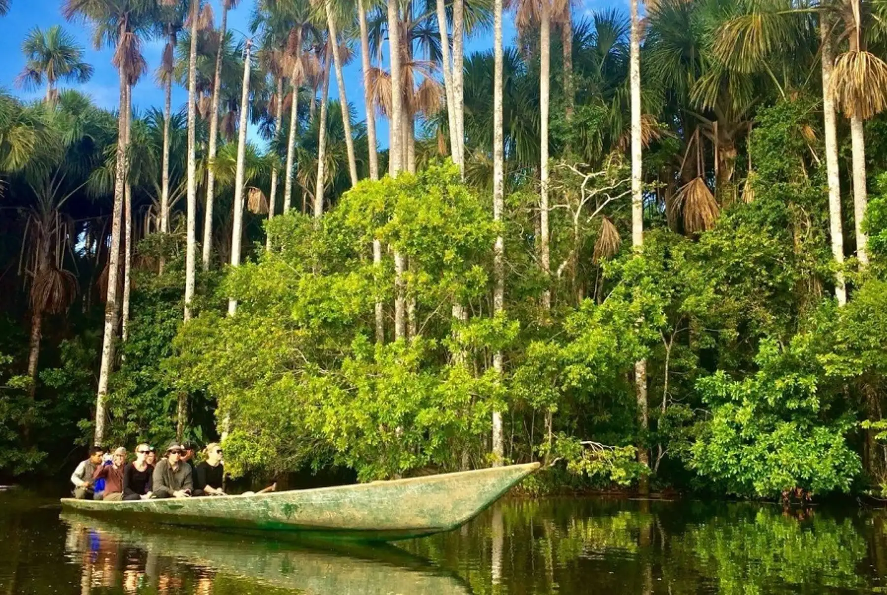 Reserva Nacional de Tambopata, el “Bosque rebosante de vida”, en Madre de Dios. INTERNET/Medios
