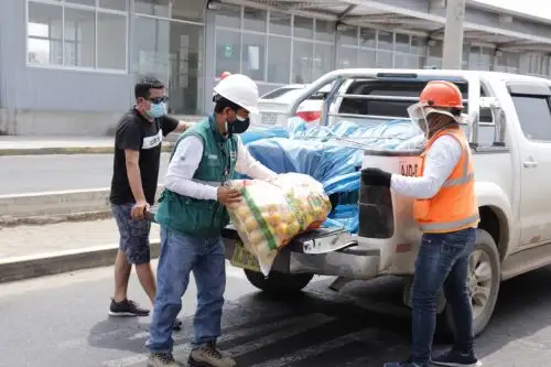 Senasa refuerza los controles para proteger la producción de frutas y hortalizas.