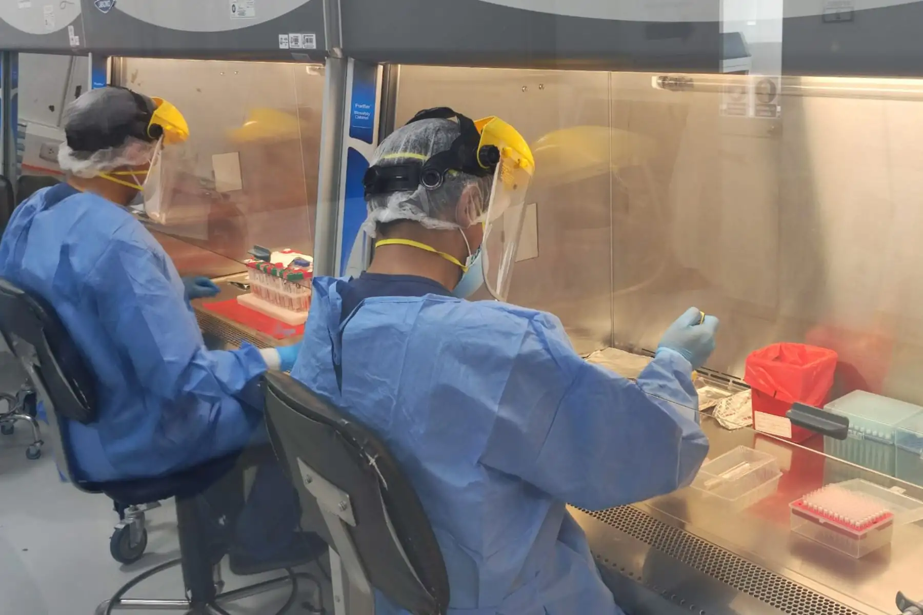 El INS ha secuenciado 3,630 genomas de ómicron desde su detección en el país a mediados de diciembre del 2021. Foto: ANDINA/Héctor Vinces.