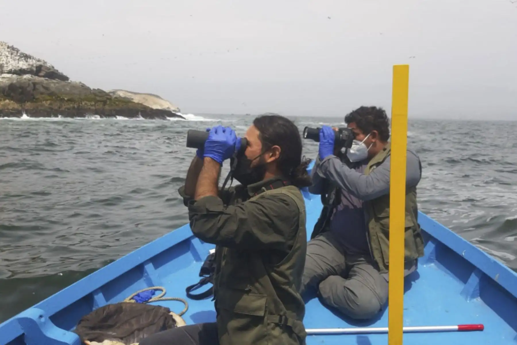 El Sernanp ha observado durante este monitoreo diario en los islotes, a más de 170 especímenes de aves cubiertas de petróleo. ANDINA/Sernanp.