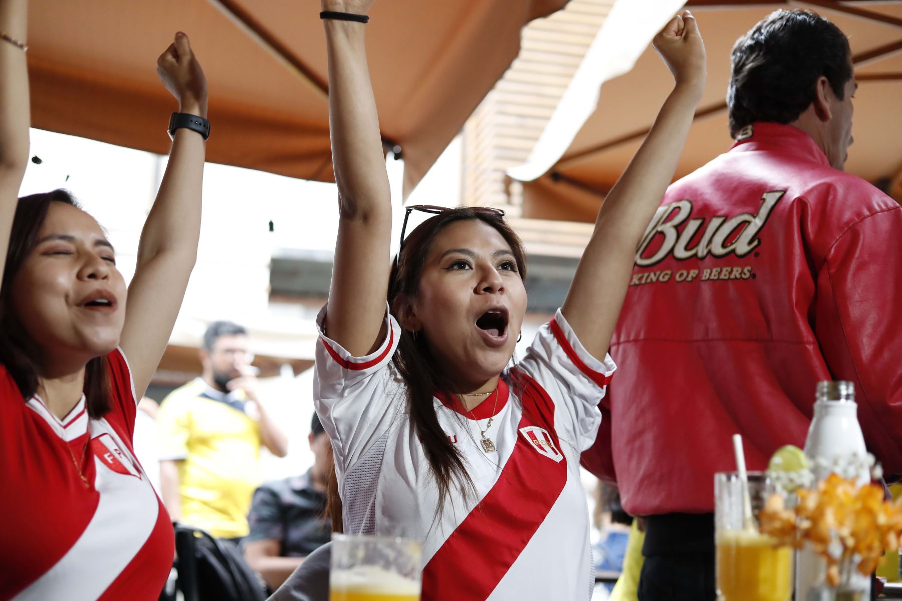 Hinchas de la blanquiroja celebraron el triunfo frente e Colombia por las Eliminatorias a Qatar 2022, en el pasaje San Ramón, en Miraflores. Foto: ANDINA/Renato Pajuelo