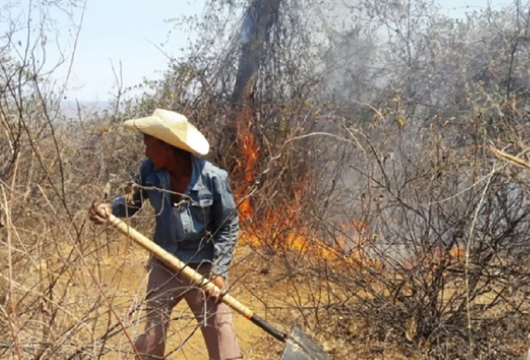 El plan de contingencia incluirá los diagnósticos de las causas e impactos ambientales de los incendios forestales, objetivos, protocolos, estrategias y mecanismos de coordinación, supervisión y control, implementación de un sistema de prevención y control de incendios, campañas de educación para prevención y control, así como el seguimiento, evaluación y monitoreo.