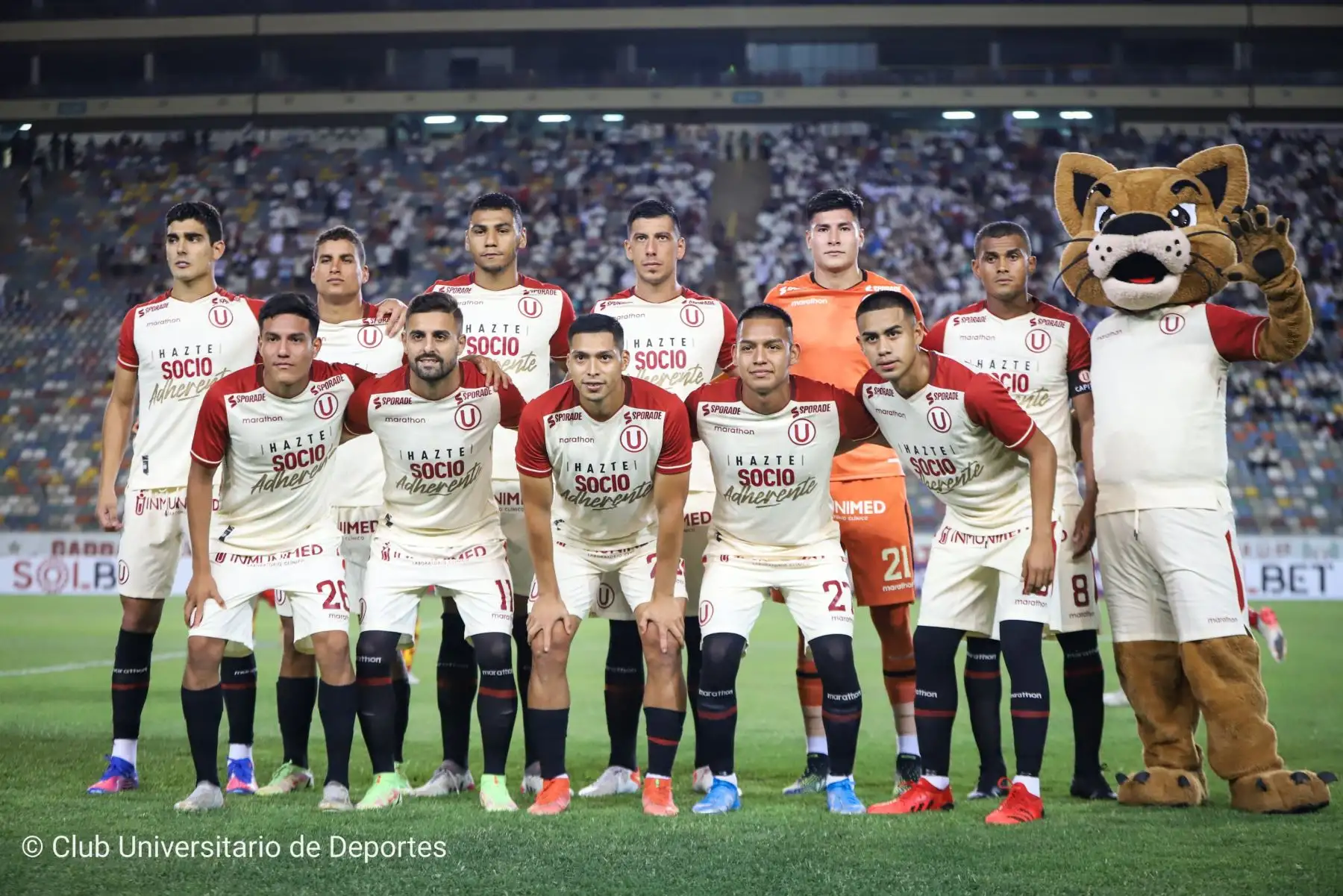 Universitario de Deportes enfrenta a Aucas de Ecuador en un partido amistoso por la Noche Crema, después de presentar al plantel 2022 de la U. Foto: @universitario