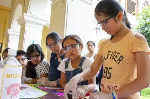 Se han programado diversos eventos online dirigidos a niñas, niños y adultos, los cuales se realizarán del 7 al 11 de febrero vía el Facebook Live. Foto: Concytec/Archivo