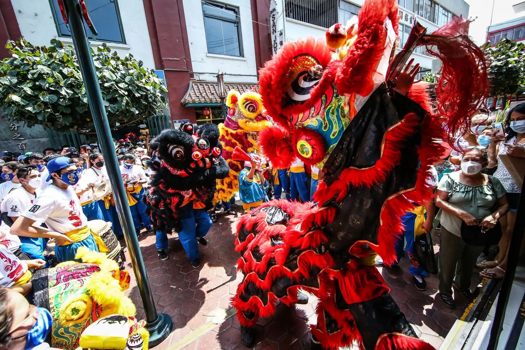 El comienzo del año "Ren Yin", el 39º elemento del ciclo sexagenario chino. El Tigre, "Yin", está emparejado con el tronco celestial "Ren": agua. Por eso se le conoce como el Año del Tigre de ANDINA/ Carlos Lezama