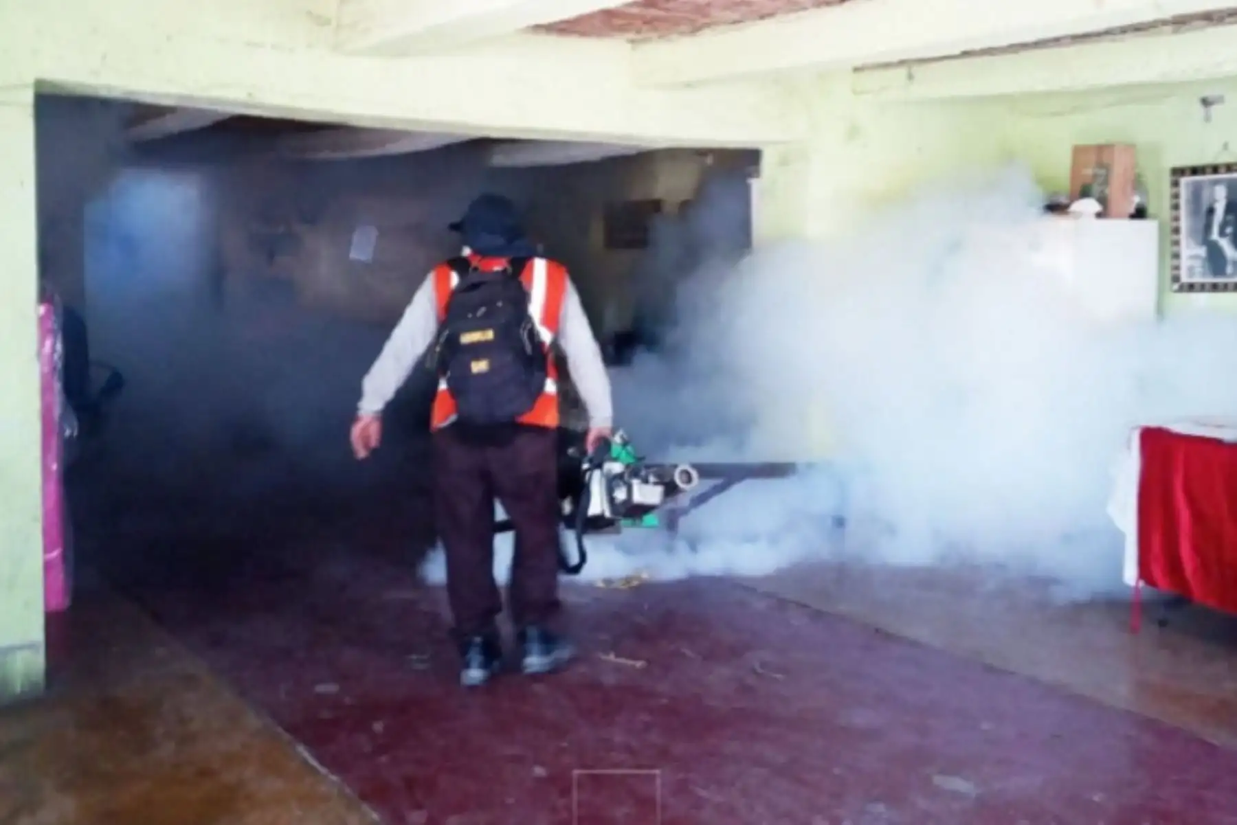 El dengue es una enfermedad infecciosa producida por el virus dengue, transmitida por el zancudo "Aedes aegypti".