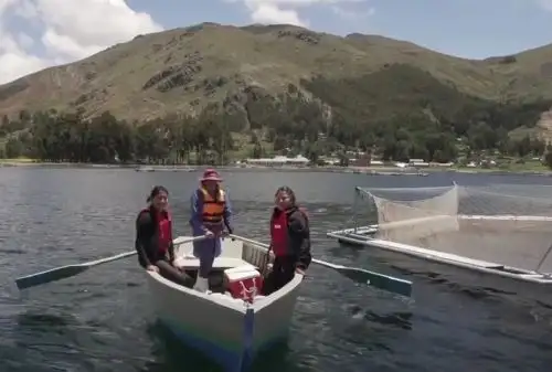 Un innovador y sostenible emprendimiento de crianza de truchas a cargo de mujeres rurales se desarrolla con éxito en el lago Arapa, ubicado en la región Puno, a 3 820 metros sobre el nivel del mar.