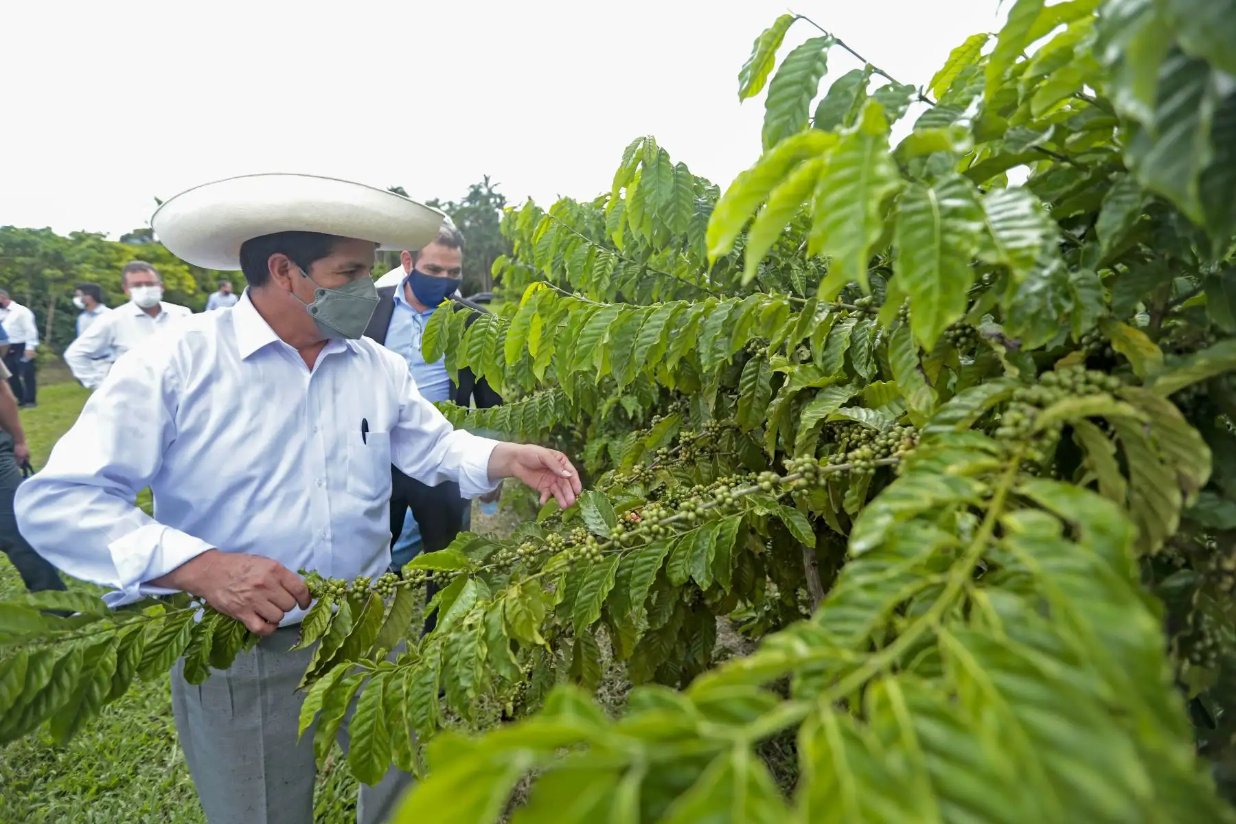 Como parte de su visita a la ciudad de Porto Velho en Brasil el mandatario peruano, Pedro Castillo, quien estuvo acompañado por la primera dama Lilia Paredes, realizó un recorrido por el Centro de Investigaciones Agroforestales (EMBRAPA), cuya experiencia suma a la política de Segunda Reforma Agraria que impulsa su gobierno en el Perú. Foto: ANDINA/Presidencia Perú