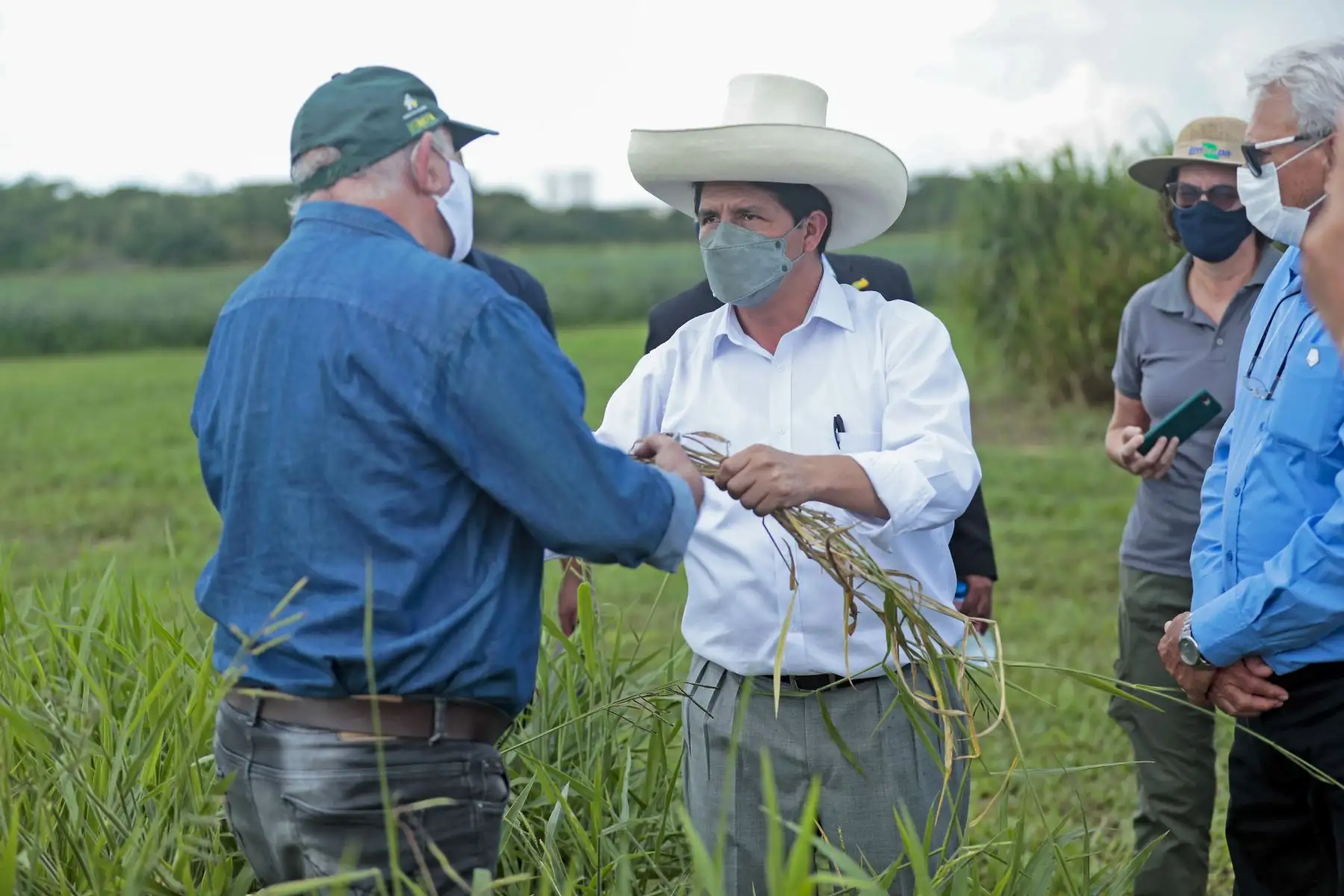 Como parte de su visita a la ciudad de Porto Velho en Brasil el mandatario peruano, Pedro Castillo, quien estuvo acompañado por la primera dama Lilia Paredes, realizó un recorrido por el Centro de Investigaciones Agroforestales (EMBRAPA), cuya experiencia suma a la política de Segunda Reforma Agraria que impulsa su gobierno en el Perú. Foto: ANDINA/Presidencia Perú
