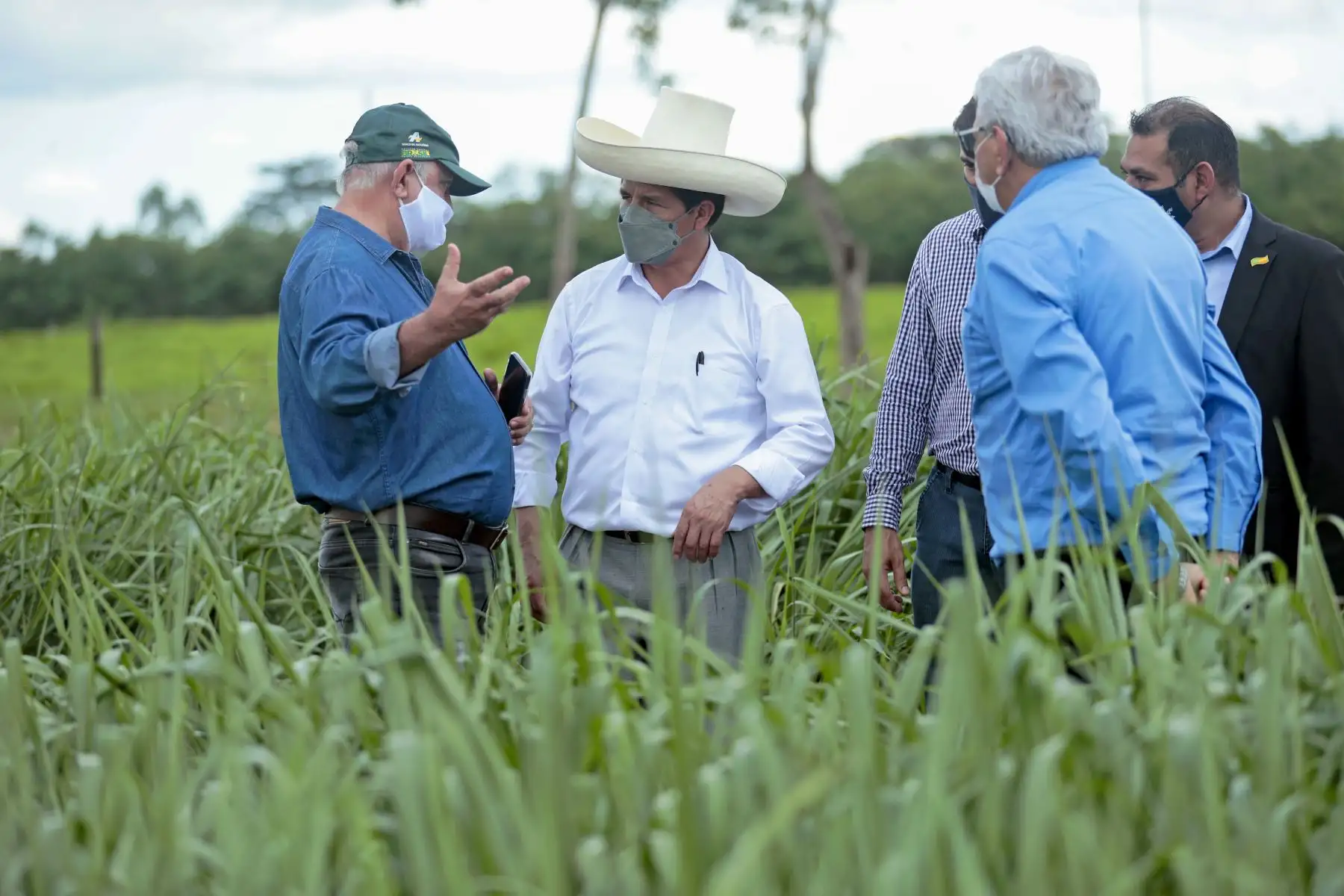 Como parte de su visita a la ciudad de Porto Velho en Brasil el mandatario peruano, Pedro Castillo, quien estuvo acompañado por la primera dama Lilia Paredes, realizó un recorrido por el Centro de Investigaciones Agroforestales (EMBRAPA), cuya experiencia suma a la política de Segunda Reforma Agraria que impulsa su gobierno en el Perú. Foto: ANDINA/Presidencia Perú