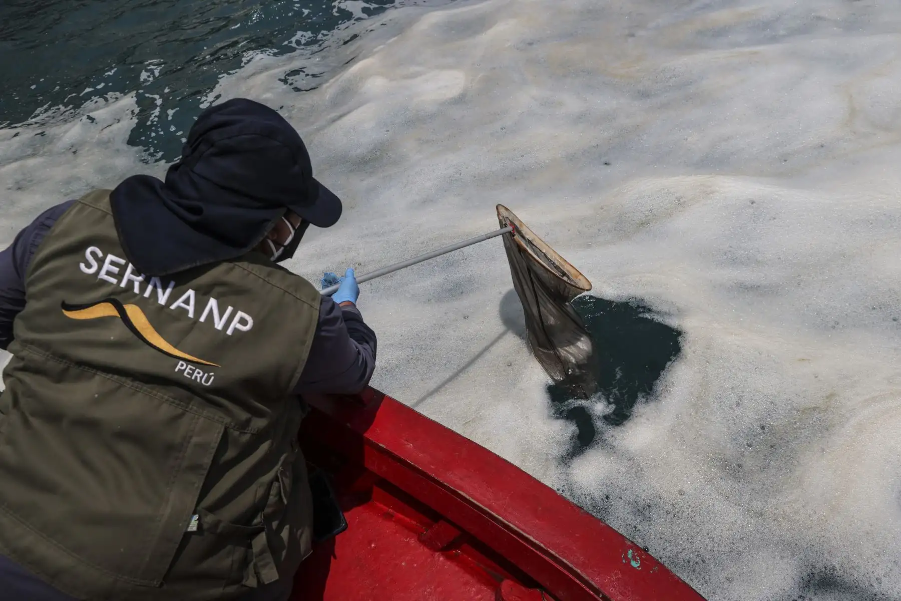 Animales muertos flotan en medio de una gran espuma de petróleo, en el mar como consecuencia del derrame del petróleo. 
Foto: ANDINA/Andrés Valle