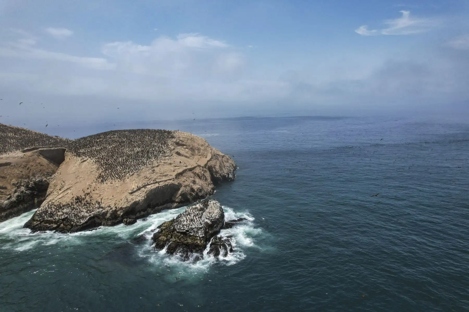 Foto: ANDINA/Andrés Valle.