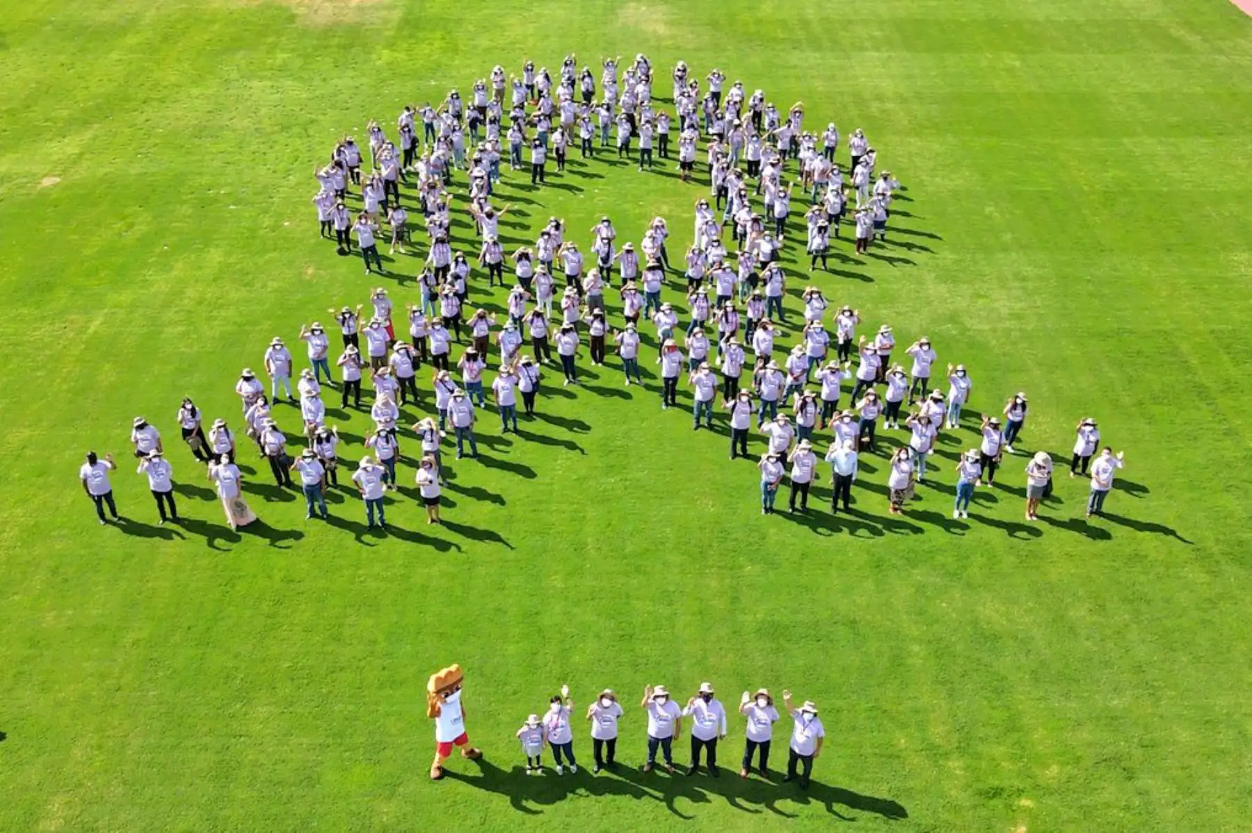 Por el Día Mundial de Lucha contra el Cáncer, 200 voluntarios se sumaron para conformar el lazo lavanda en la cancha atlética de la Videna, este lazo simboliza la lucha que miles de personas en nuestro país enfrentan debido al cáncer. Foto: ANDINA/MINSA