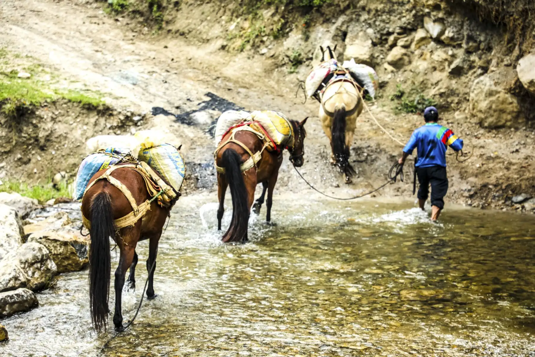Ministerio de Transportes y Comunicaciones anunció el mejoramiento y conservación del corredor Cutervo, Sócota–San Andrés–Santo Tomás- Pimpingos–Cuyca en la región de Cajamarca. En el marco del aniversario del Distrito de Sócota. Foto: ANDINA/MTC