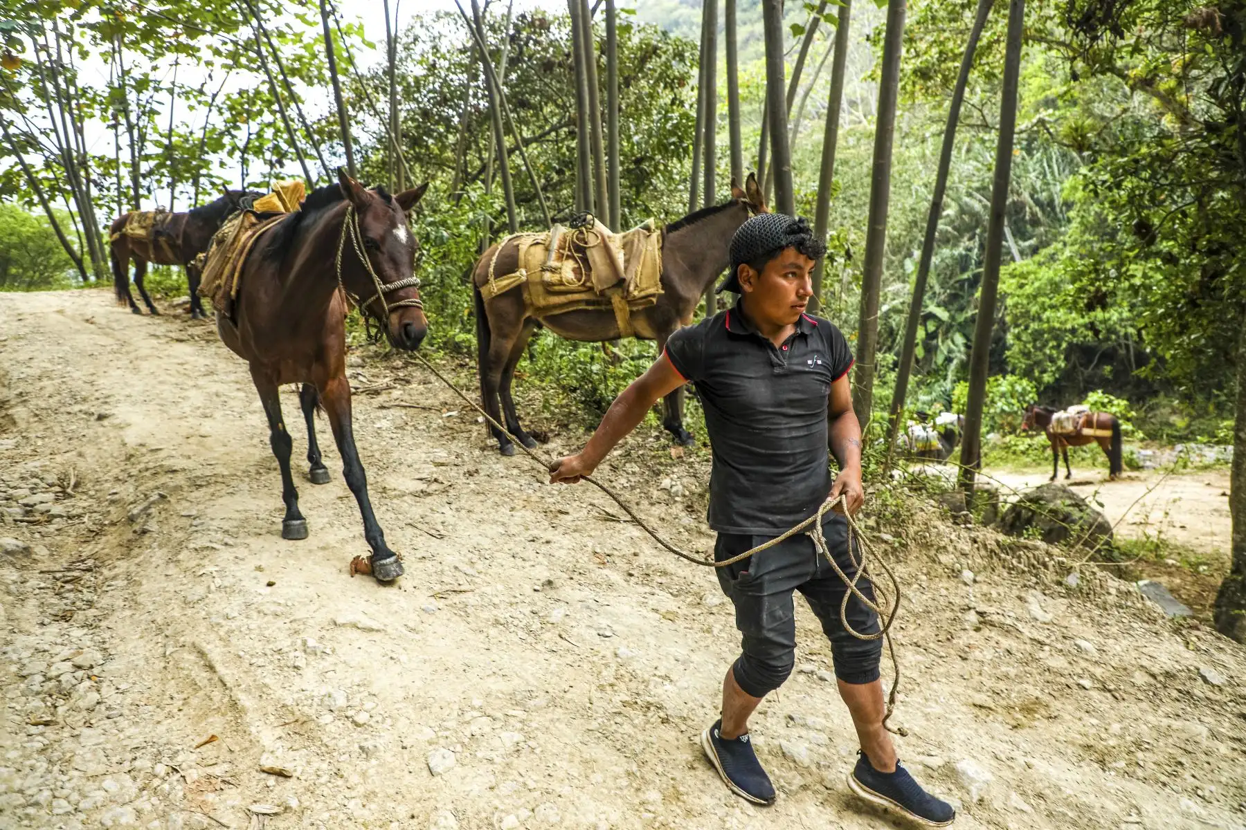 Ministerio de Transportes y Comunicaciones anunció el mejoramiento y conservación del corredor Cutervo, Sócota–San Andrés–Santo Tomás- Pimpingos–Cuyca en la región de Cajamarca. En el marco del aniversario del Distrito de Sócota. Foto: ANDINA/MTC